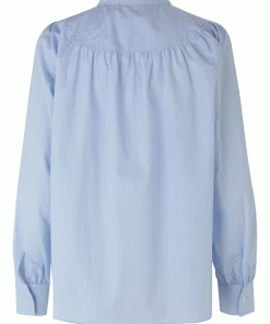 Second Female Clematis Blue Blouse