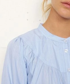 Second Female Clematis Blue Blouse